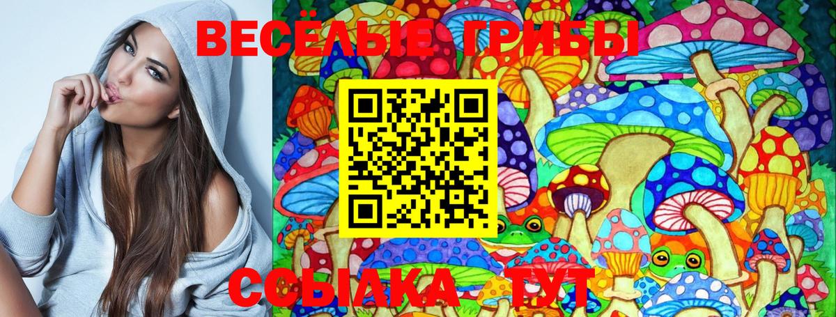 Находка  Псилоцибиновые грибы Psilocybine cubensis  Вход с VPN 